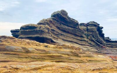 Principles of Stratigraphy