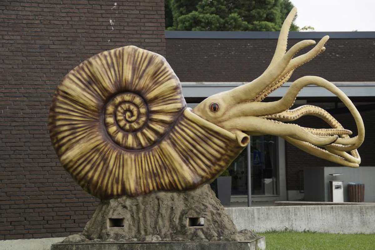 what-is-fossil