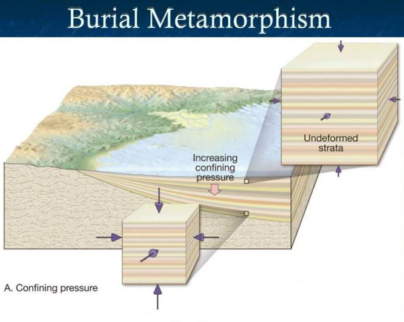 burial metamorphism basin