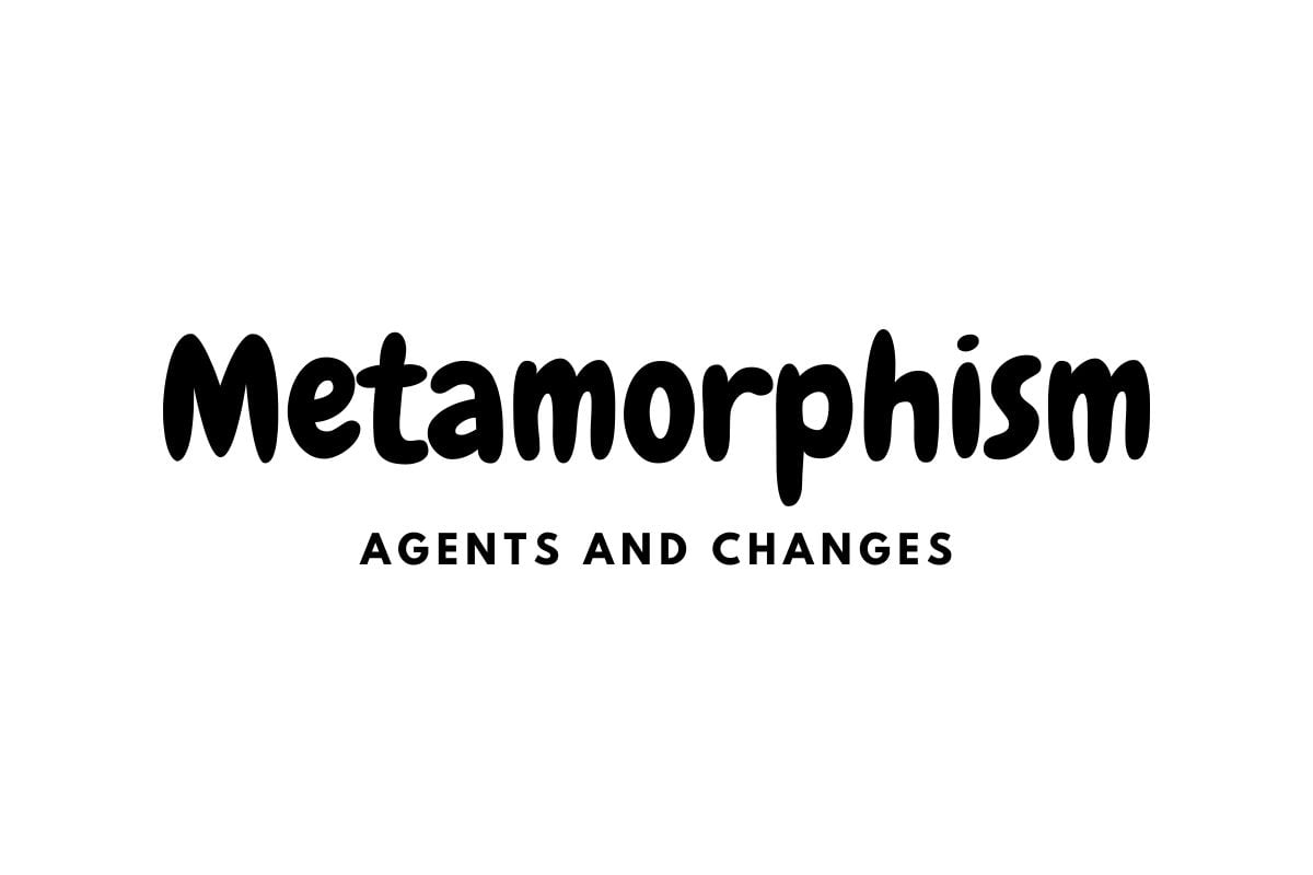 metamorphic-agents-and-changes-gelogia