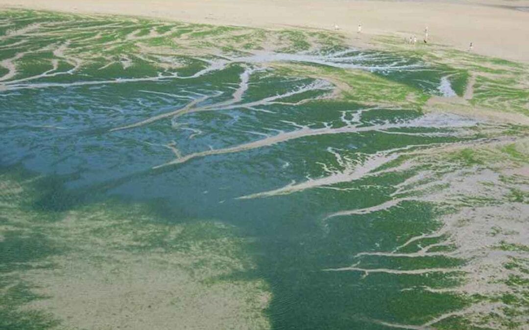 Drainage-Patterns