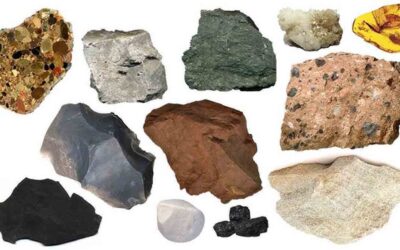 Sedimentary Rock Types: Formation, Structures, and Classification