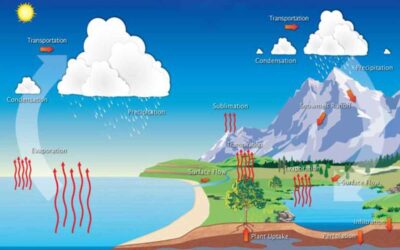 Evaporation: A Vital Process in Nature and Everyday Life