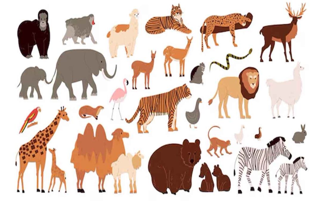 Mammals: Insights Into Their History, Features, and Conservation