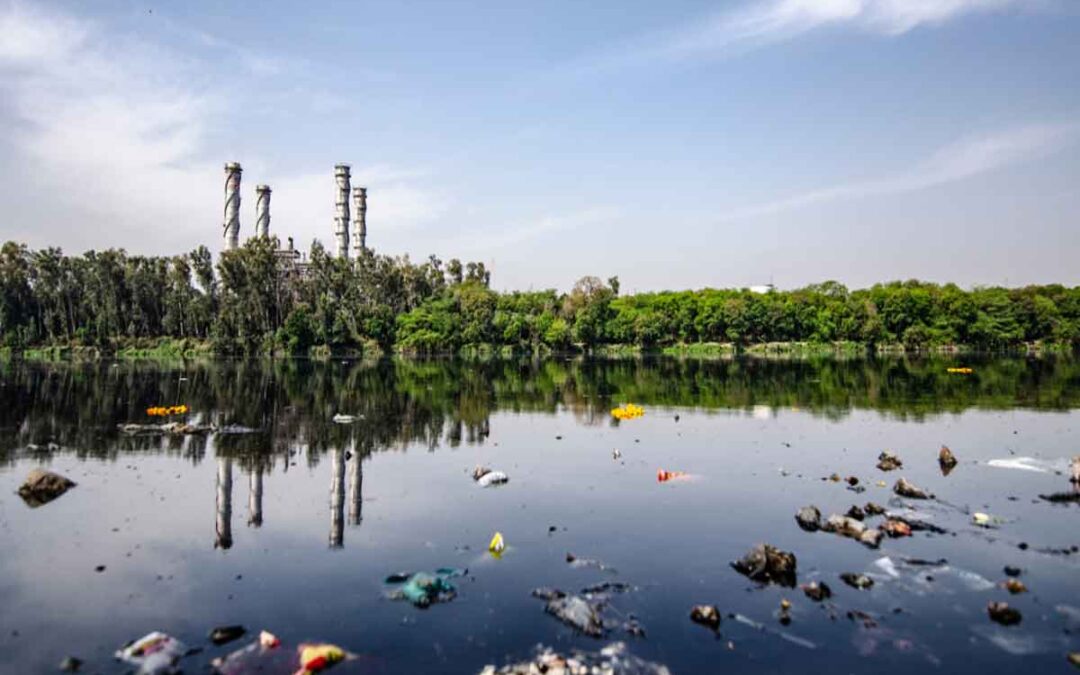 The Major Cause of Water Pollution and Its Environmental Impact