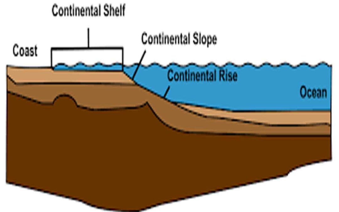 Continental Margin: Definition, Types, and Key Features