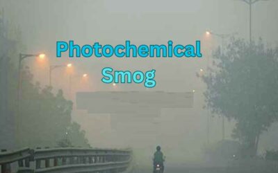 What You Need to Know About Photochemical Smog and Its Effects