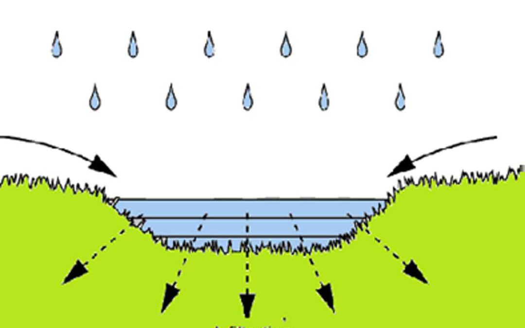 Infiltration: The Key to Sustainable Water Management