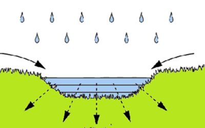 Infiltration: The Key to Sustainable Water Management