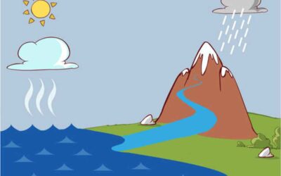 Runoff: Nature’s Water Flow and Its Implications