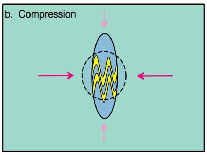 Compression