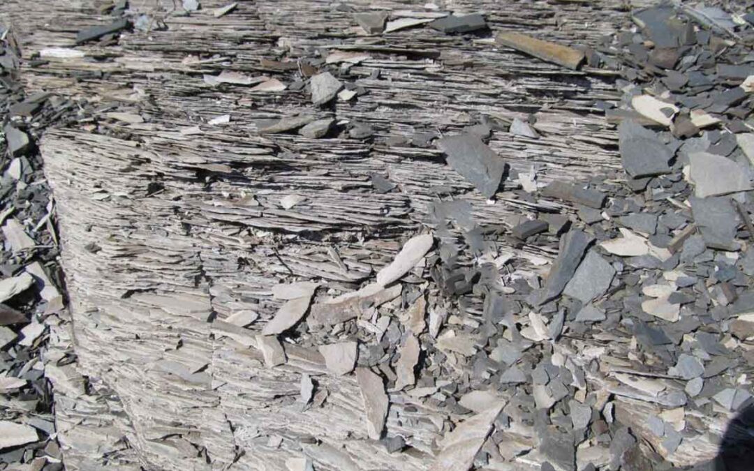 Mudrocks: Types, Formation, and Their Importance in Geology