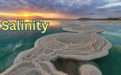Salinity: Definition, Effects, and Importance