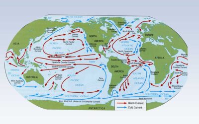 What Are the Types of Oceanic Gyres? Explained Simply