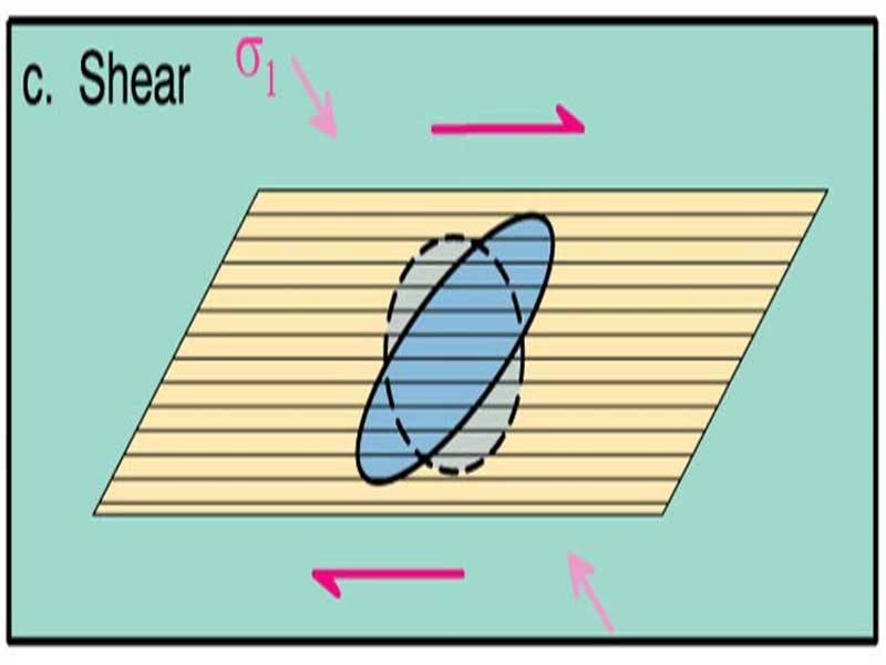 Shear