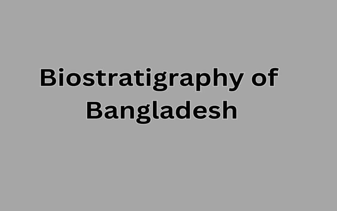 Biostratigraphy of Bangladesh