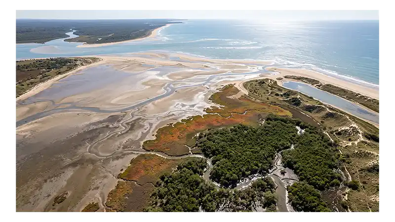 Coastal Environments and Zones