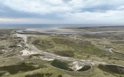 Coastal Plain: Definition and Subdivisions