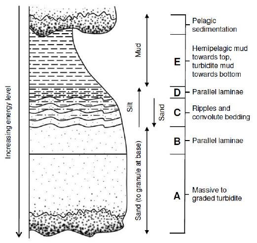 The Units of Bouma Sequence