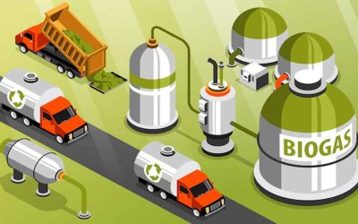 Biogas Basics: Definition and Its Types