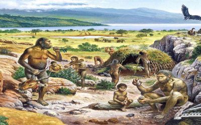 Main Events of The Quaternary Period