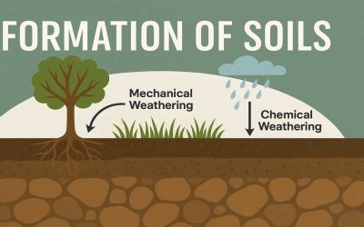 Formation of Soils Explained Simply