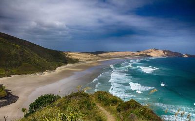 Coastline Formation: How Tectonics, Waves & Tides Shape Shorelines