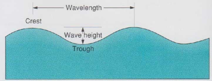 Components of Water Waves