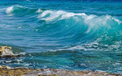 Water Waves: Motion, Types, and Surf Zone Dynamics