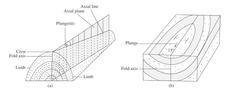 Different parts of a fold: (a) an anticline; (b) a syncline