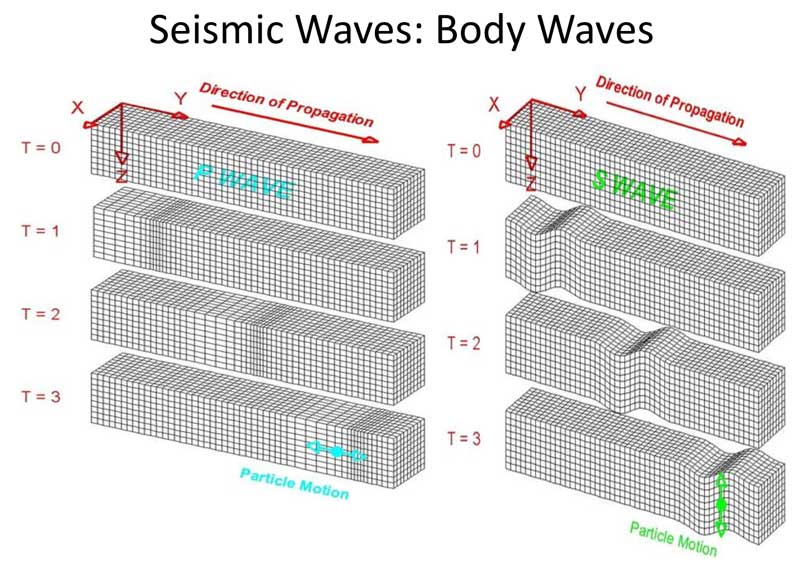 Body Waves