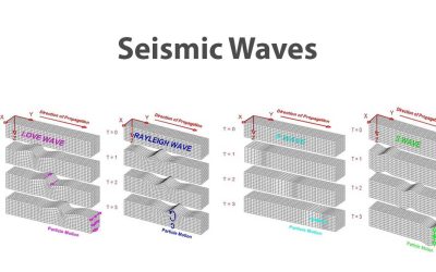 Seismic Waves Explained: P Waves, S Waves, and Surface Waves