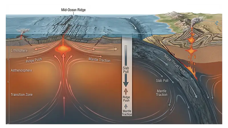 Mantle convection beneath tectonic plates at a mid-ocean ridge and subduction zone