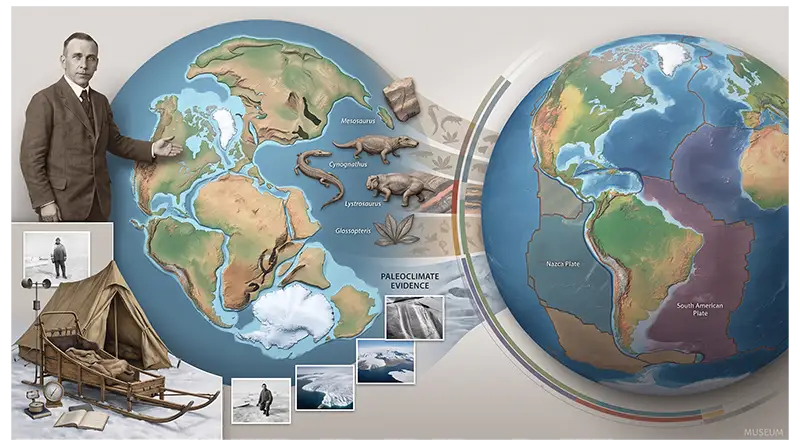 Alfred Wegener’s scientific legacy connecting continental drift, fossils, geology, paleoclimate, meteorology, and modern plate tectonics
