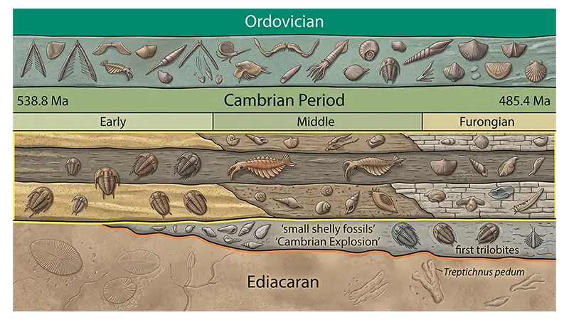 Geological rock layers representing the Cambrian Period and its place in Earth history