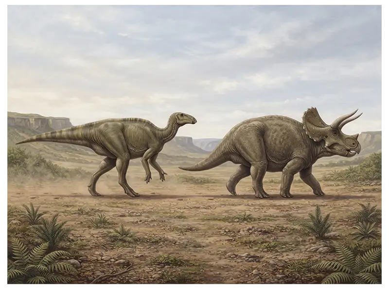 Iguanodon walking on two hind limbs and Triceratops walking on four limbs.