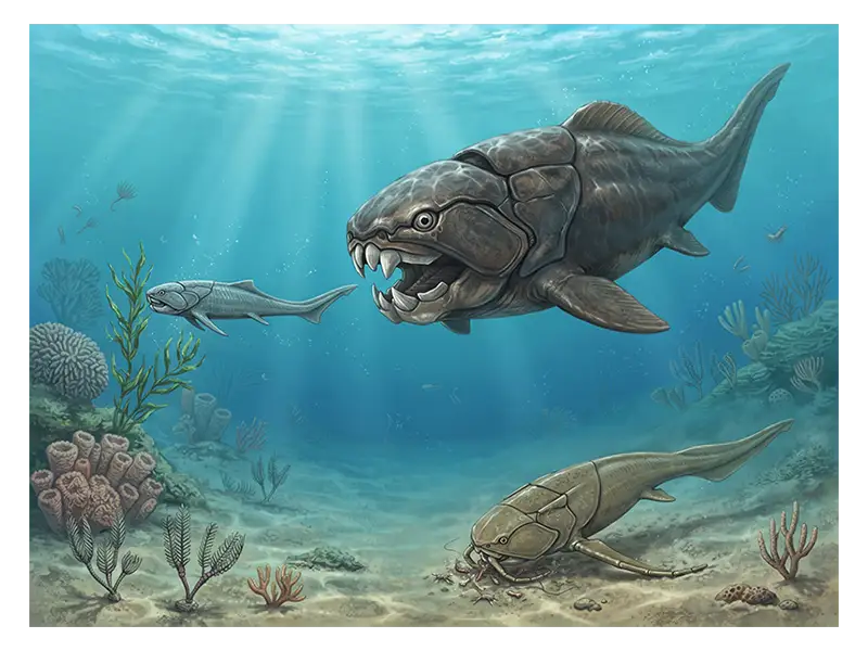 Predatory Dunkleosteus pursuing a smaller fish in a Devonian marine environment, illustrating one placoderm feeding strategy.