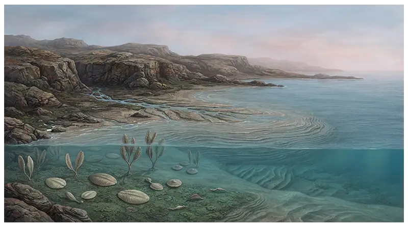 Reconstruction of an Ediacaran coastline, shallow ocean, and ancient marine sedimentary environment